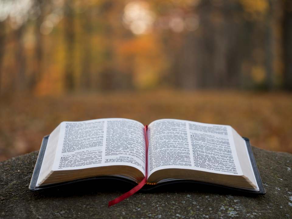 Grow Your Word Life